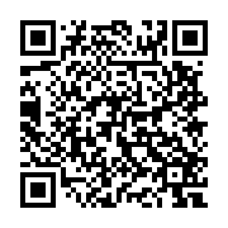 QR code for plate 4C1 506