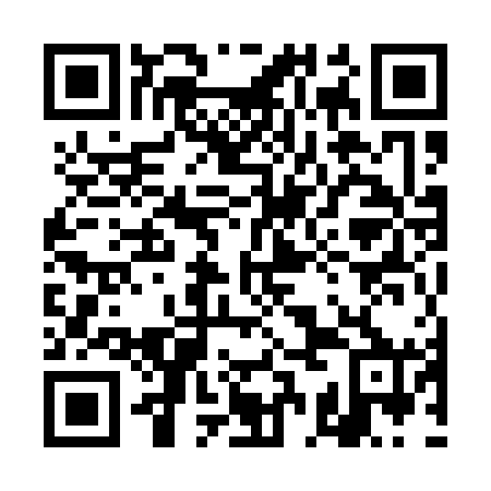 QR code for plate 4CM 160
