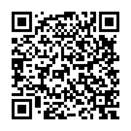 QR code for 4DG 818