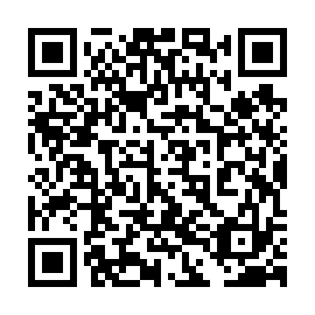 QR code for 4DJ V33