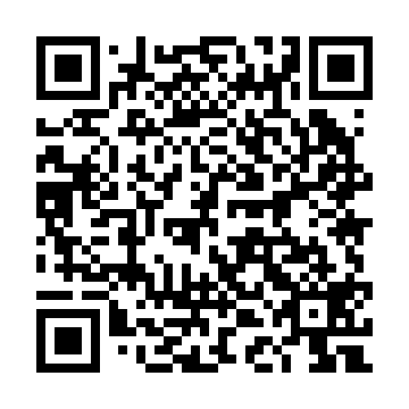 QR code for plate 4DM 219