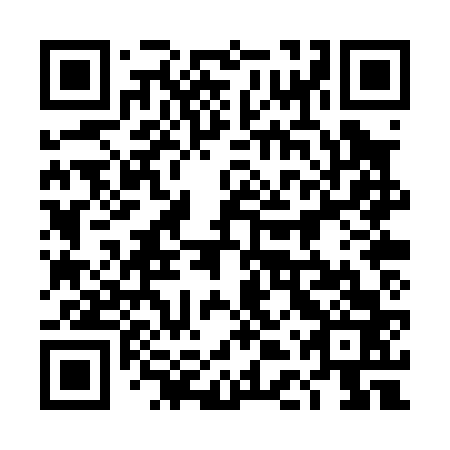 QR code for 4DP P63