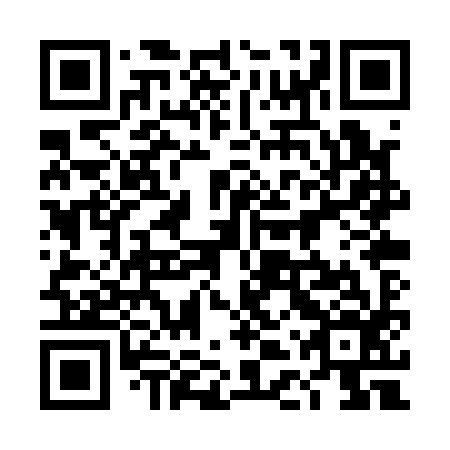 QR code for 4DP Q96