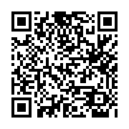 QR code for 4DS 449