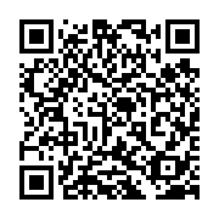 QR code for 4DS638