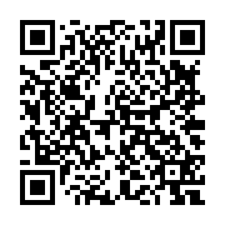 QR code for 4DT X21