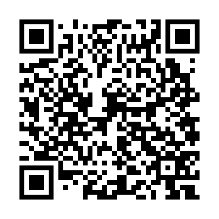 QR code for 4DV 376