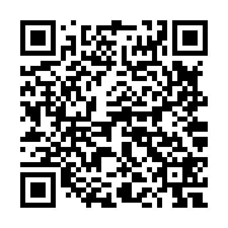 QR code for 4DV X28
