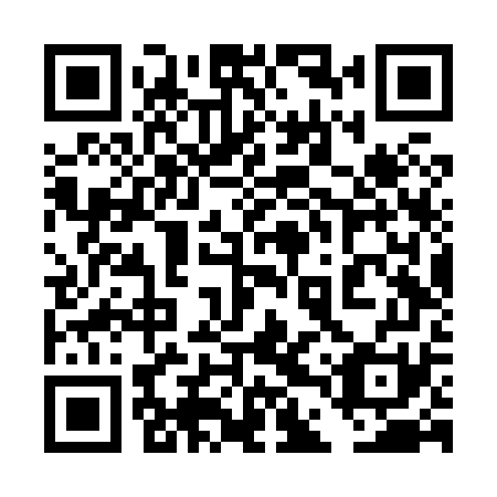 QR code for 4DV X71