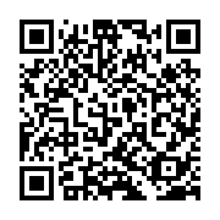 QR code for plate 4DV 238