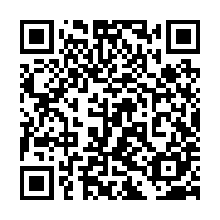 QR code for plate 4DV R85