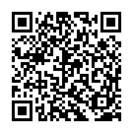 QR code for 4DZ 163