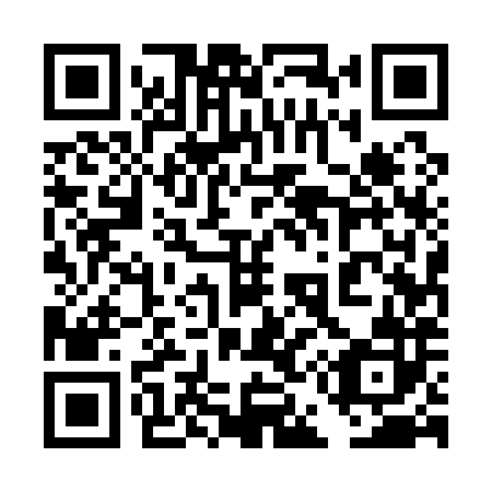 QR code for plate 4E5 182