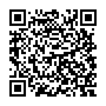 QR code for plate 4E6 111