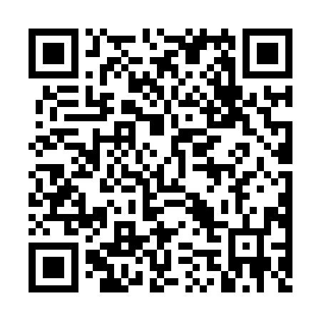 QR code for plate 4E6 896