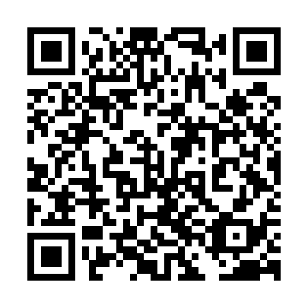 QR code for plate 4FF E38