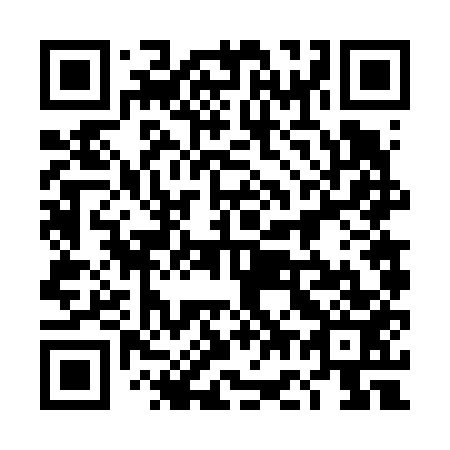 QR code for 4G6 653