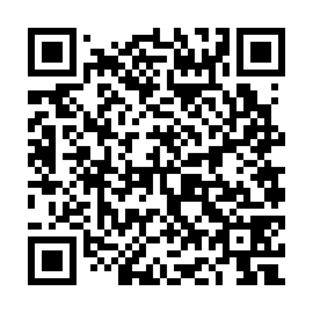 QR code for plate 4G6 378