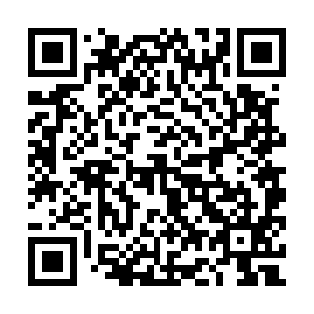 QR code for 4G6595