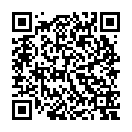QR code for plate 4G9 368