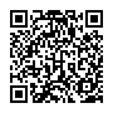 QR code for 4GC 295