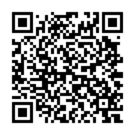 QR code for 4HD P17