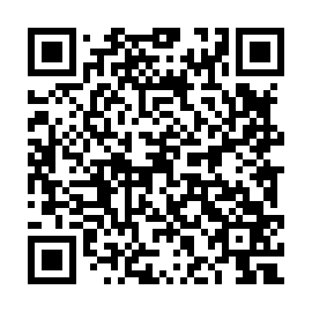 QR code for plate 4HL 863