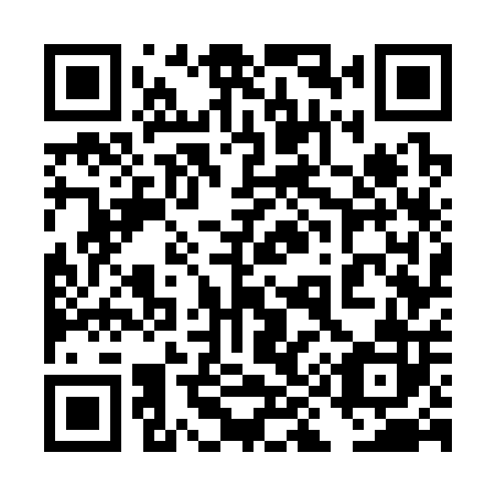 QR code for plate 4I7 302