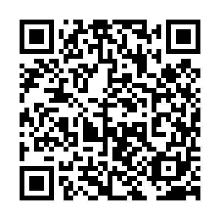 QR code for 4I9 451