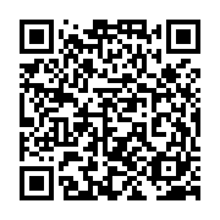 QR code for 4II M61