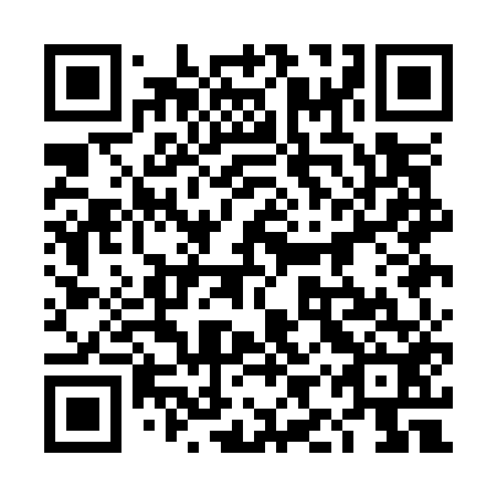 QR code for plate 4IQ O52