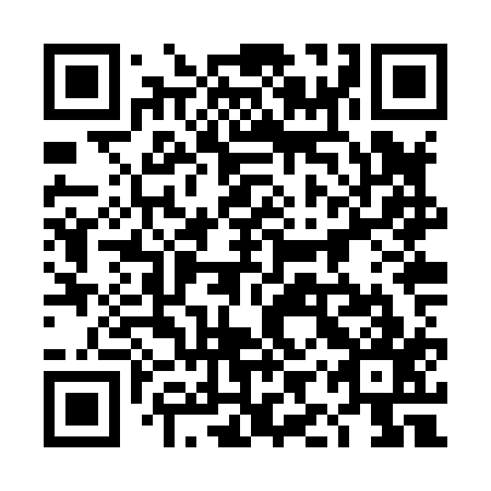 QR code for 4IZ X17