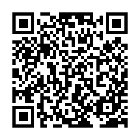 QR code for plate 4J1 487