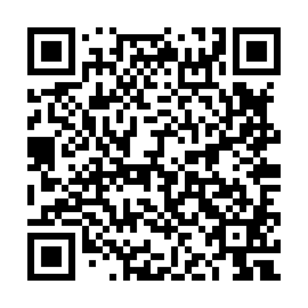 QR code for plate 4JJ X81