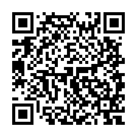 QR code for plate 4K6 595