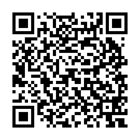 QR code for plate 4L2 298