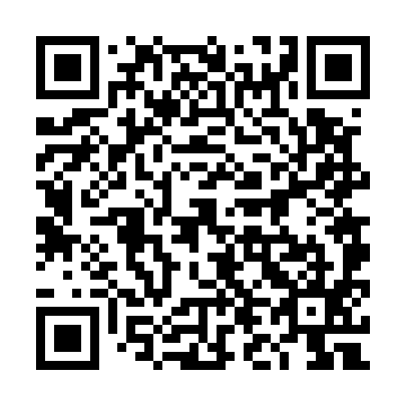 QR code for plate 4L6 595
