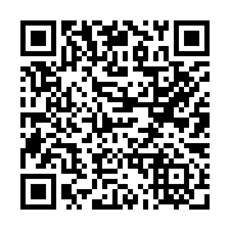 QR code for plate 4L6 991
