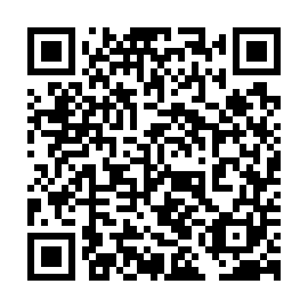 QR code for 4MG 741