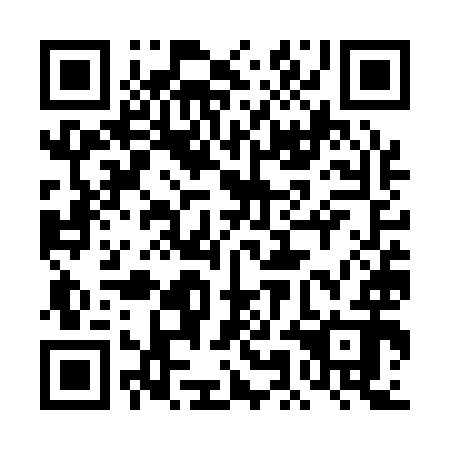 QR code for 4MG Q92