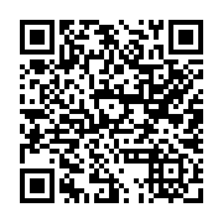 QR code for plate 4MG 399