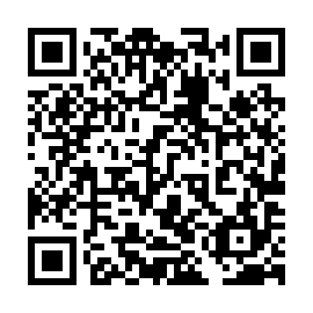 QR code for 4ML 294