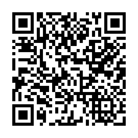 QR code for 4N0336