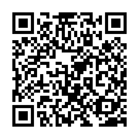 QR code for 4N1 029