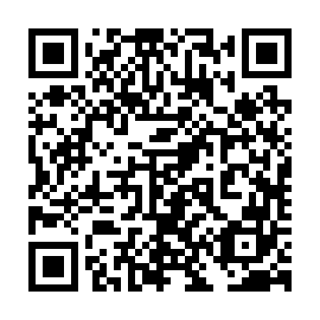 QR code for plate 4N2 262