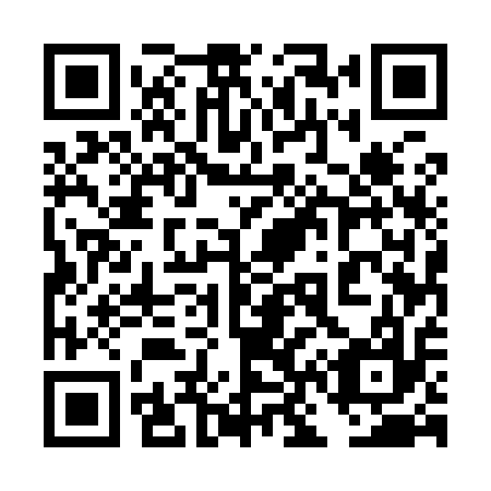 QR code for plate 4N5 917