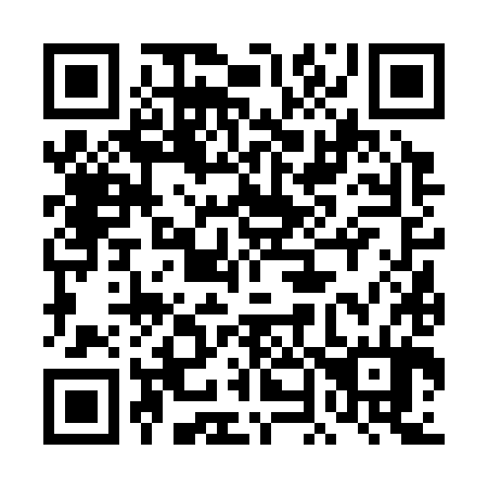 QR code for 4N6384