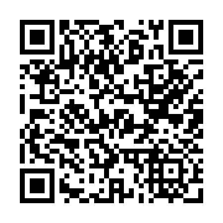 QR code for 4N9133