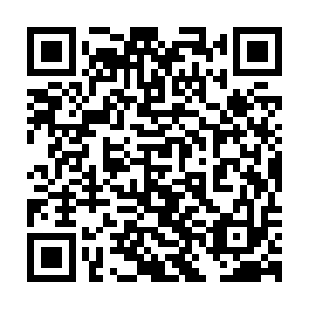 QR code for plate 4NI Z13