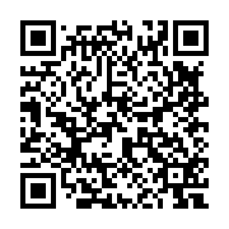 QR code for 4NP H12